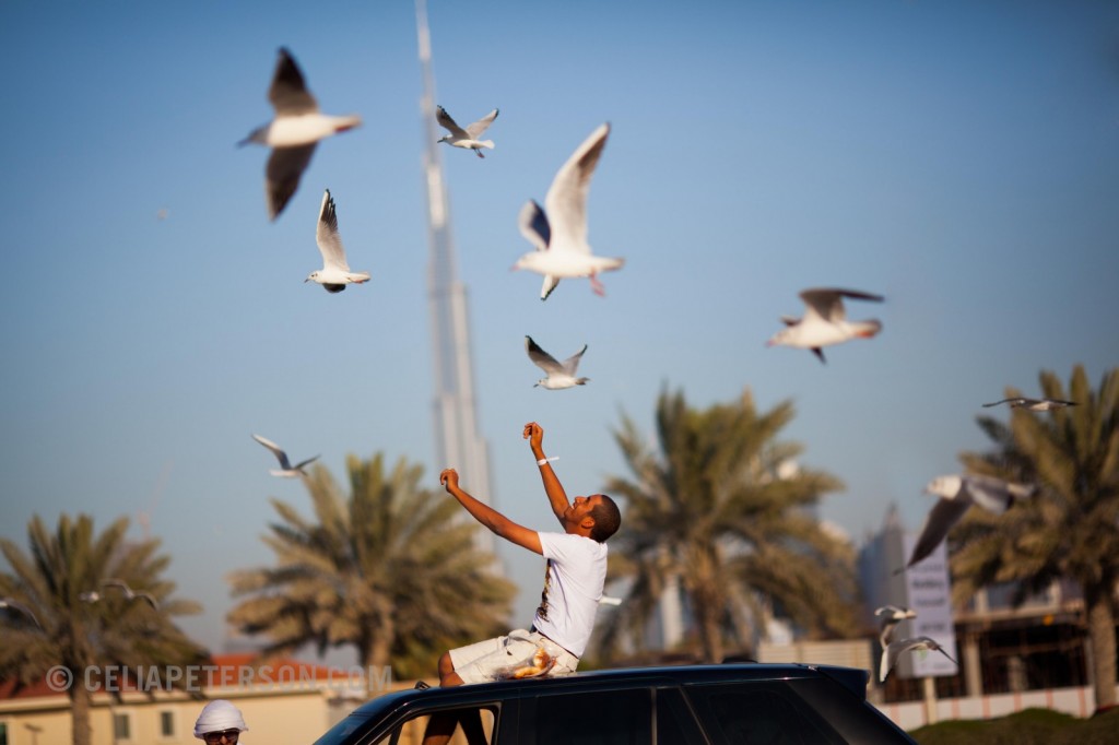 mg_8642-edit