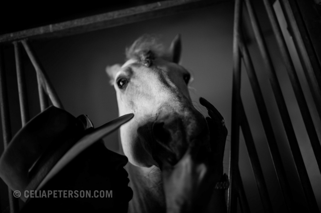 mg_9994-edit