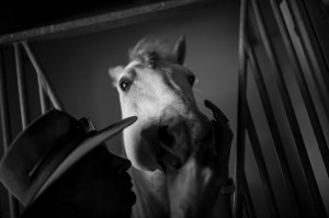 Dubai Documentary Photographer, Dubai Photographer, Dubai Reportage Photographer